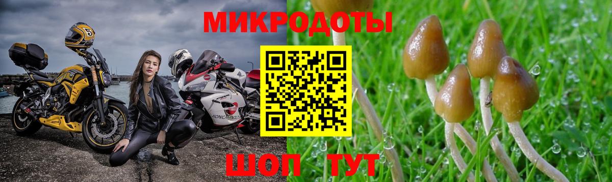 Галлюциногенные грибы мицелий  Вход с VPN  Мариинск 